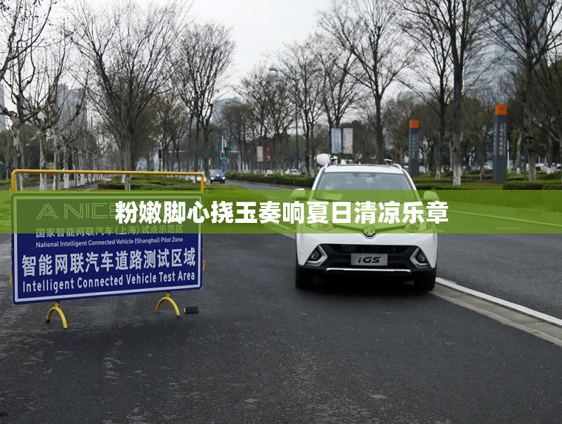 粉嫩脚心挠玉奏响夏日清凉乐章