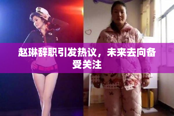 赵琳辞职引发热议，未来去向备受关注
