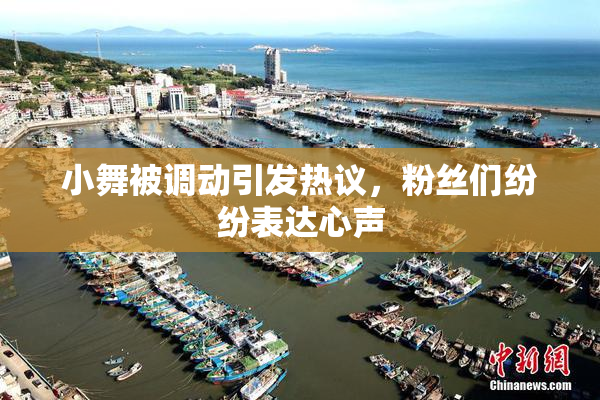 小舞被调动引发热议，粉丝们纷纷表达心声