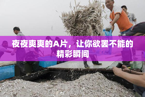 夜夜爽爽的A片，让你欲罢不能的精彩瞬间