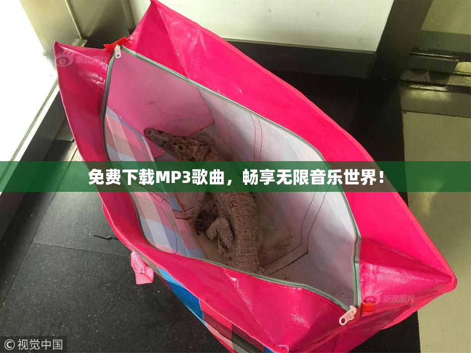 免费下载MP3歌曲，畅享无限音乐世界！