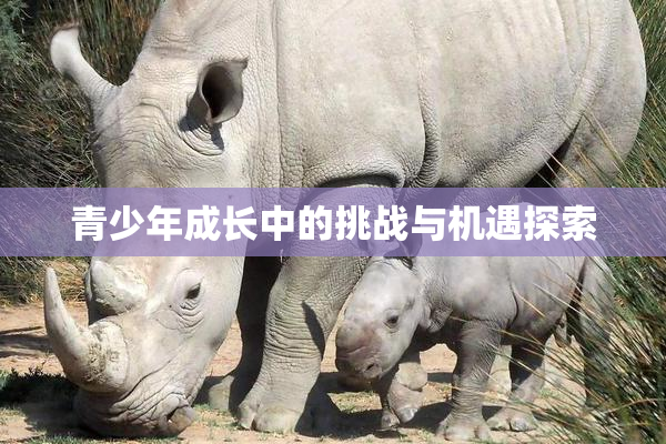 青少年成长中的挑战与机遇探索