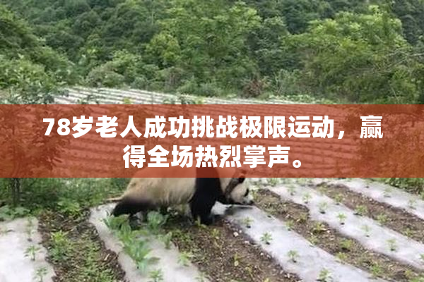78岁老人成功挑战极限运动，赢得全场热烈掌声。