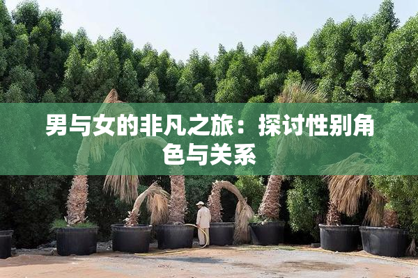男与女的非凡之旅：探讨性别角色与关系