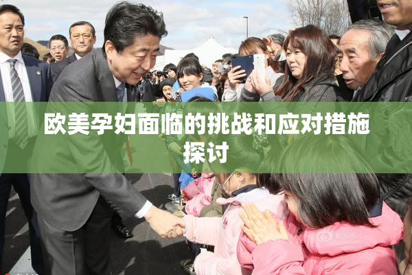 欧美孕妇面临的挑战和应对措施探讨