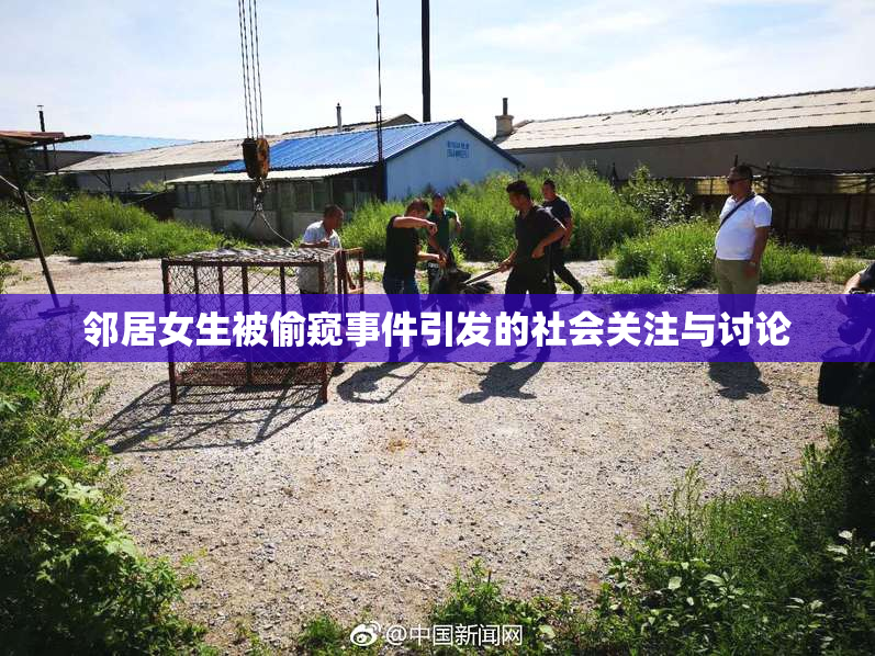 邻居女生被偷窥事件引发的社会关注与讨论