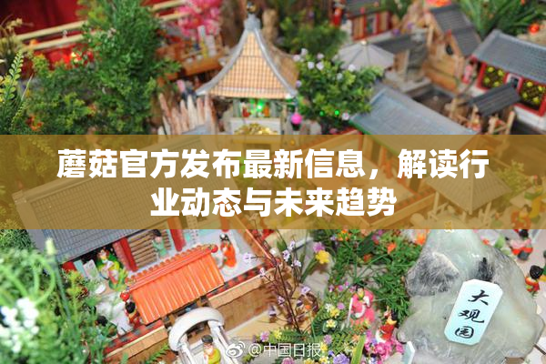 蘑菇官方发布最新信息，解读行业动态与未来趋势