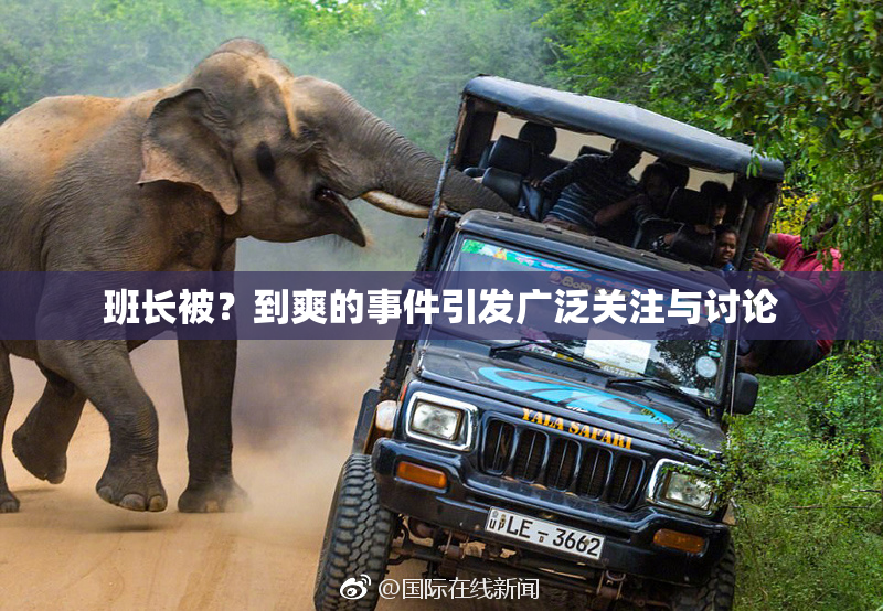 班长被？到爽的事件引发广泛关注与讨论