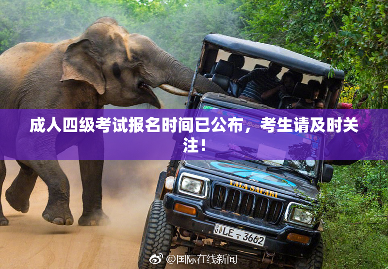 成人四级考试报名时间已公布，考生请及时关注！