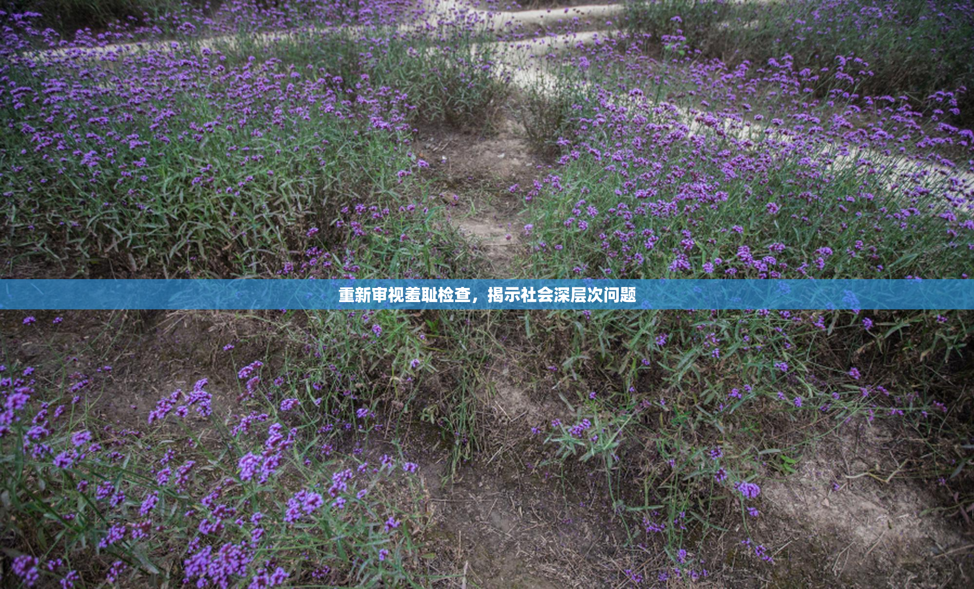 重新审视羞耻检查，揭示社会深层次问题