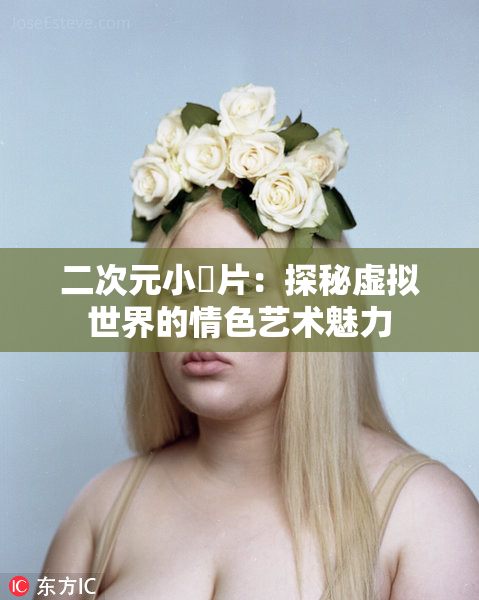 二次元小黃片：探秘虚拟世界的情色艺术魅力