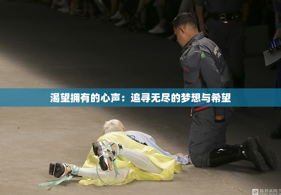 渴望拥有的心声：追寻无尽的梦想与希望