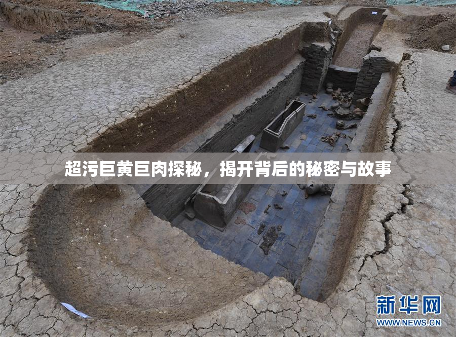 超污巨黄巨肉探秘，揭开背后的秘密与故事