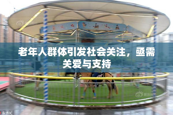 老年人群体引发社会关注，亟需关爱与支持