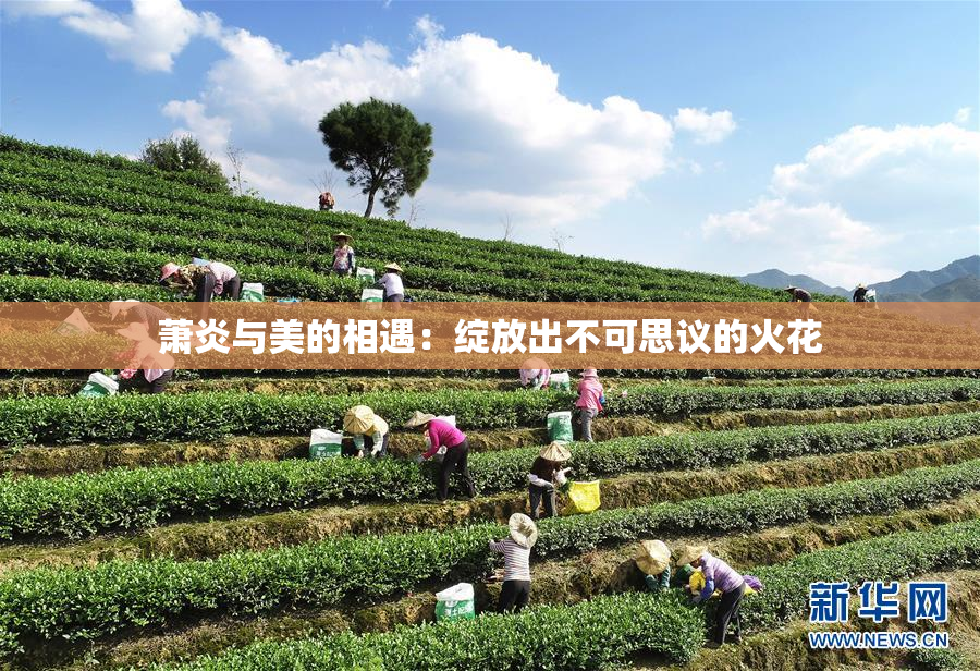 萧炎与美的相遇：绽放出不可思议的火花
