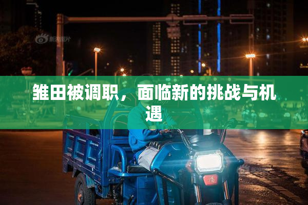 雏田被调职，面临新的挑战与机遇