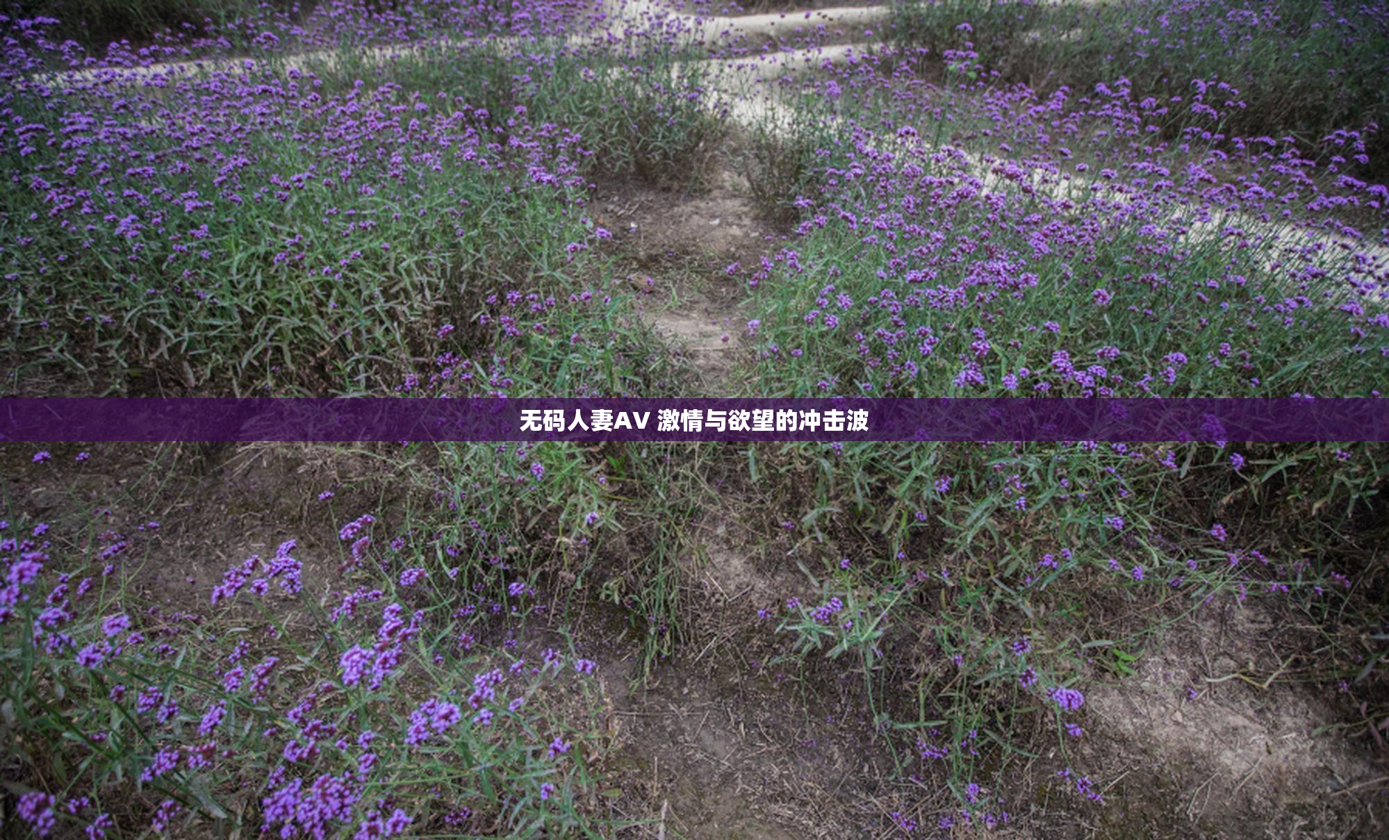 无码人妻AV 激情与欲望的冲击波