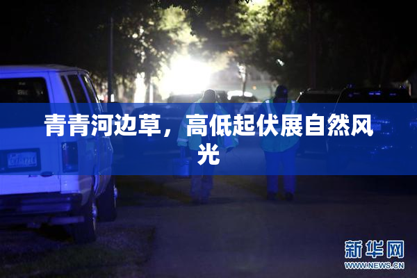 青青河边草，高低起伏展自然风光