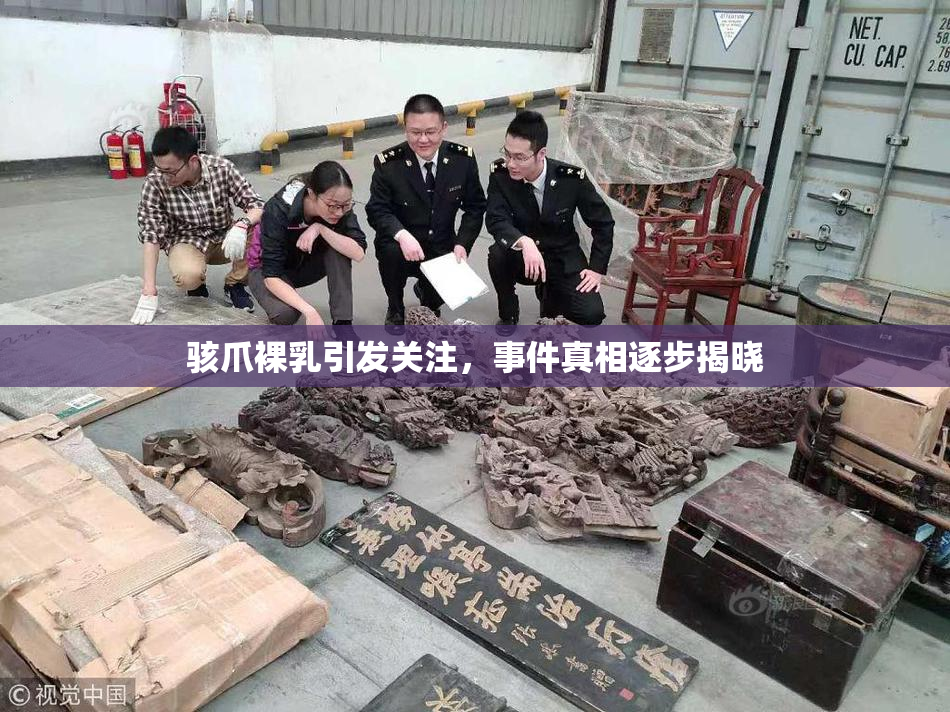 骇爪裸乳引发关注，事件真相逐步揭晓