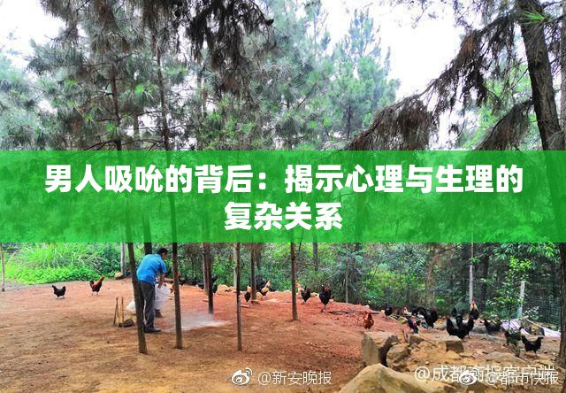 男人吸吮的背后：揭示心理与生理的复杂关系