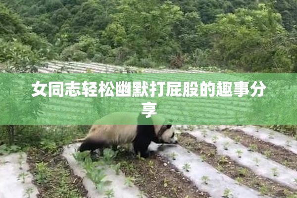 女同志轻松幽默打屁股的趣事分享