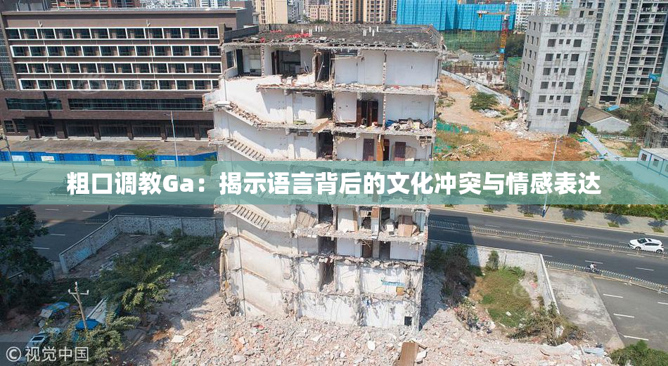 粗口调教Ga：揭示语言背后的文化冲突与情感表达