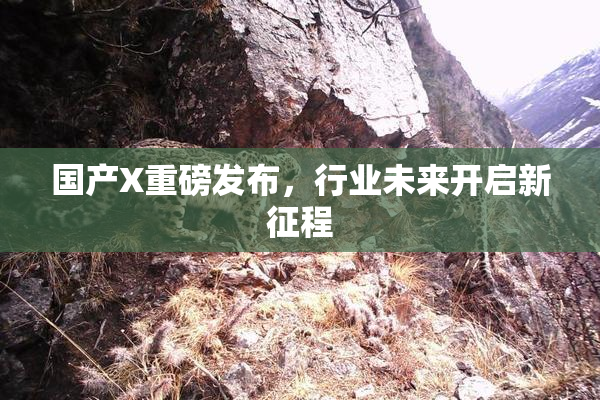 国产X重磅发布，行业未来开启新征程