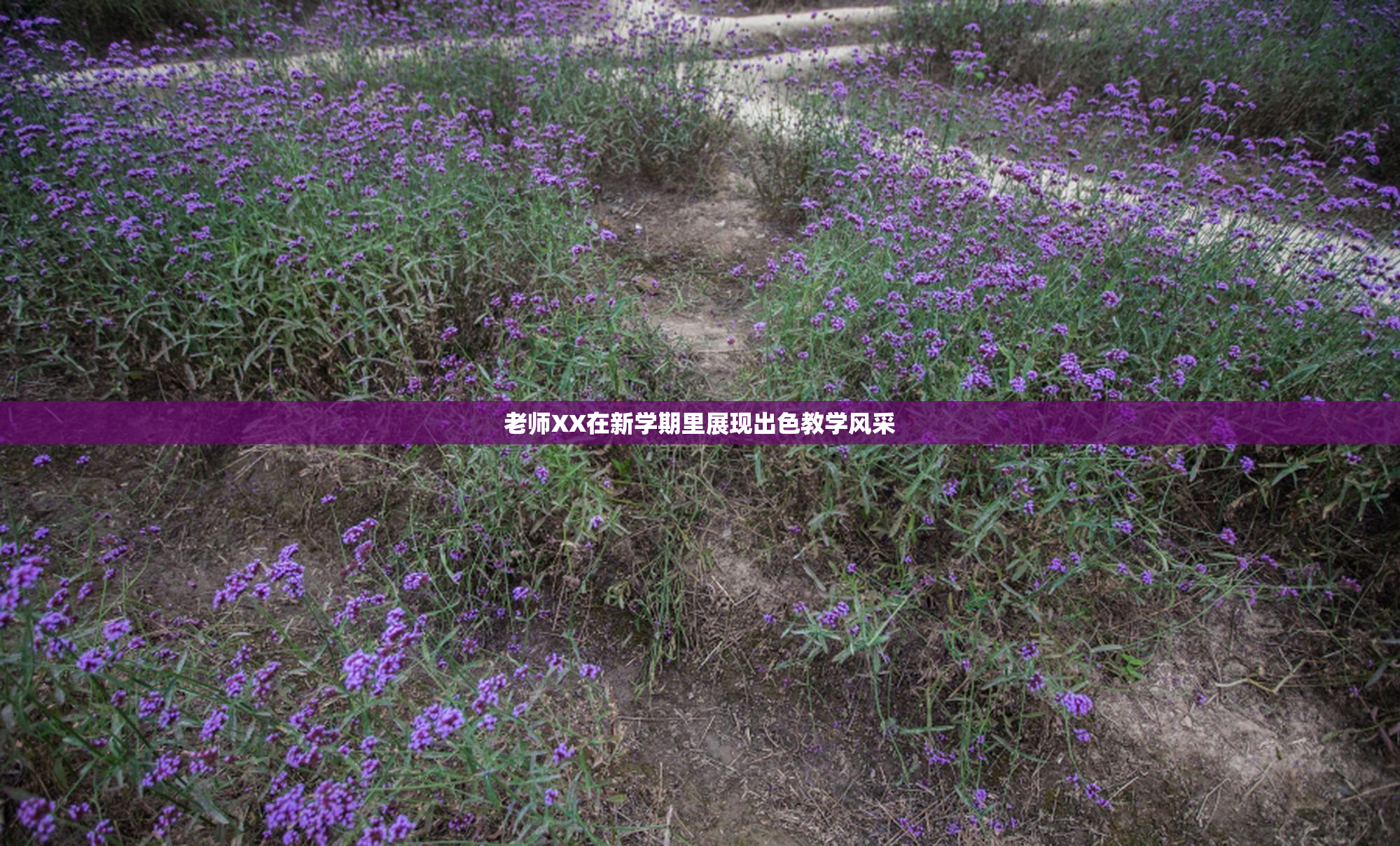 老师XX在新学期里展现出色教学风采