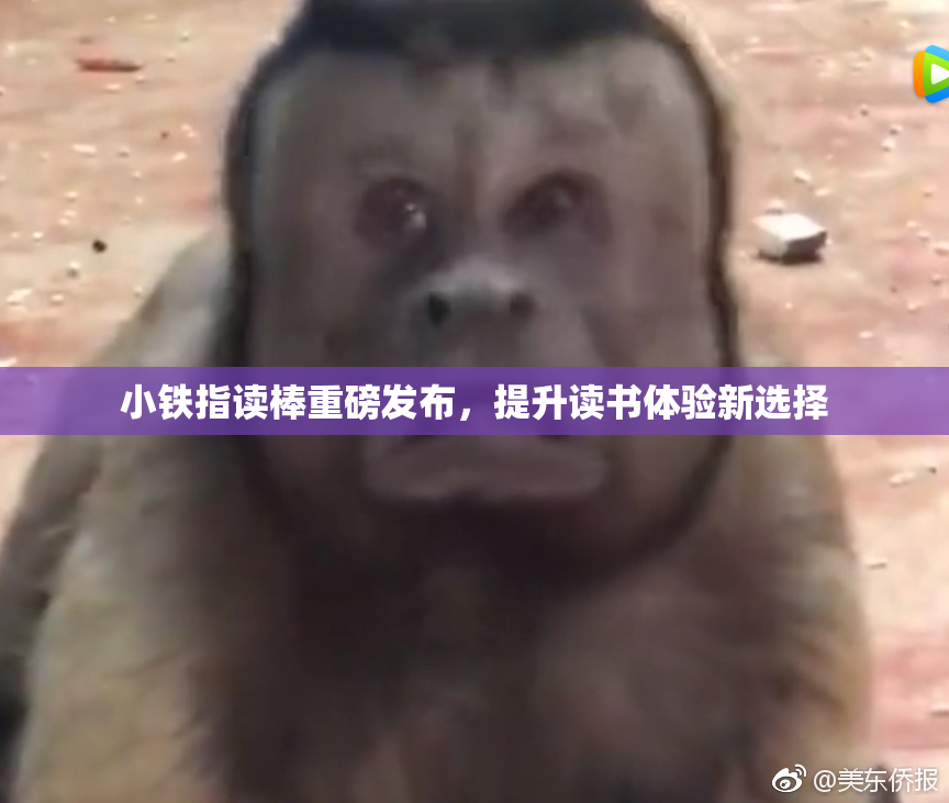 小铁指读棒重磅发布，提升读书体验新选择