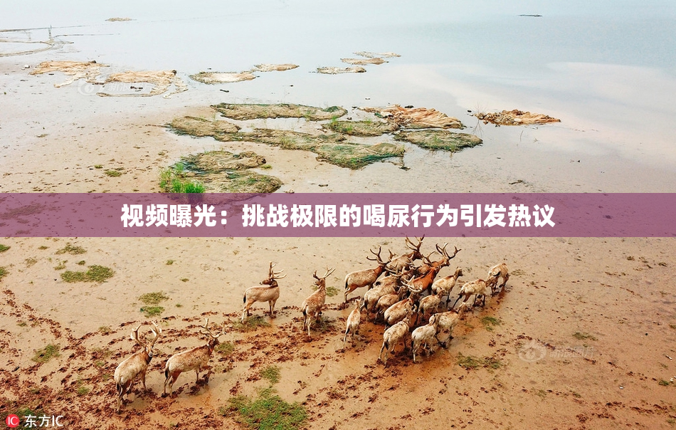 视频曝光：挑战极限的喝尿行为引发热议
