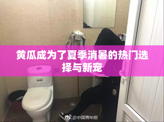 黄瓜成为了夏季消暑的热门选择与新宠
