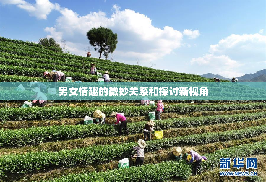 男女情趣的微妙关系和探讨新视角