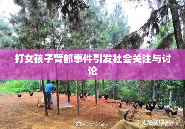 打女孩子臂部事件引发社会关注与讨论