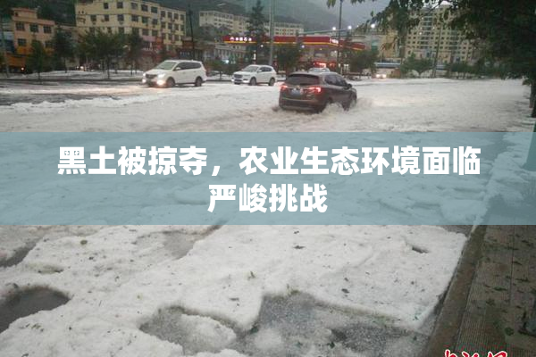 黑土被掠夺，农业生态环境面临严峻挑战