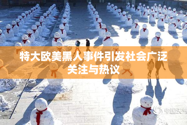 特大欧美黑人事件引发社会广泛关注与热议