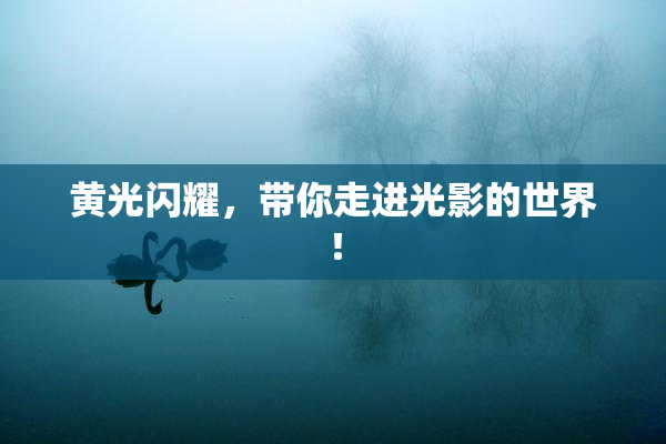 黄光闪耀，带你走进光影的世界！