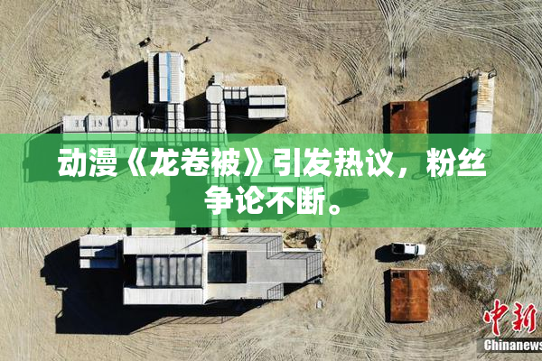 动漫《龙卷被》引发热议，粉丝争论不断。