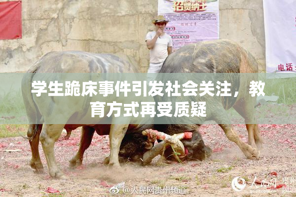 学生跪床事件引发社会关注，教育方式再受质疑