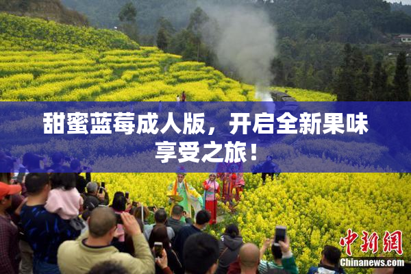 甜蜜蓝莓成人版，开启全新果味享受之旅！