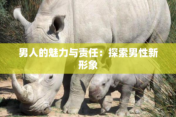 男人的魅力与责任：探索男性新形象