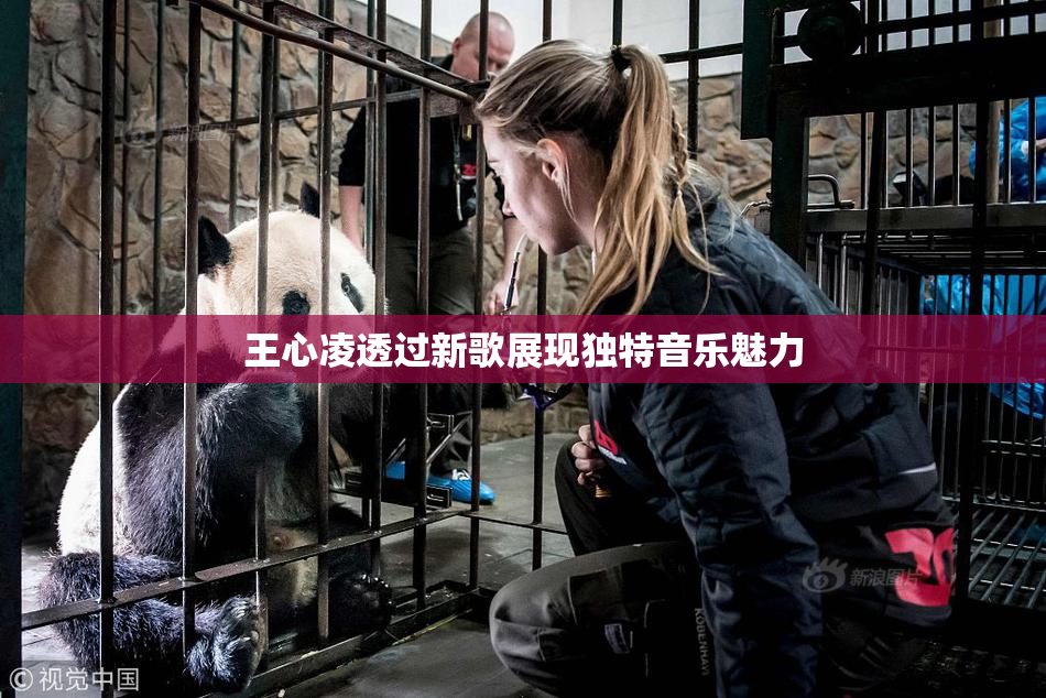 王心凌透过新歌展现独特音乐魅力