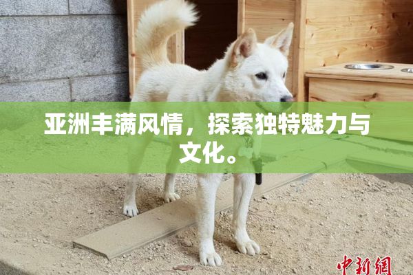 亚洲丰满风情，探索独特魅力与文化。