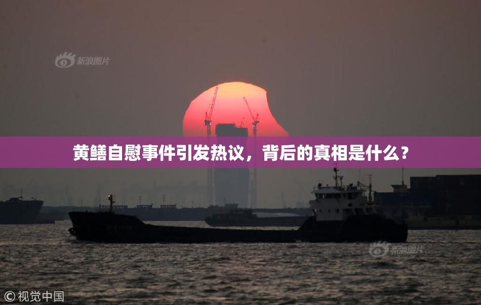 黄鳝自慰事件引发热议，背后的真相是什么？