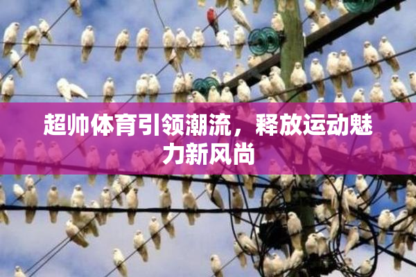 超帅体育引领潮流，释放运动魅力新风尚