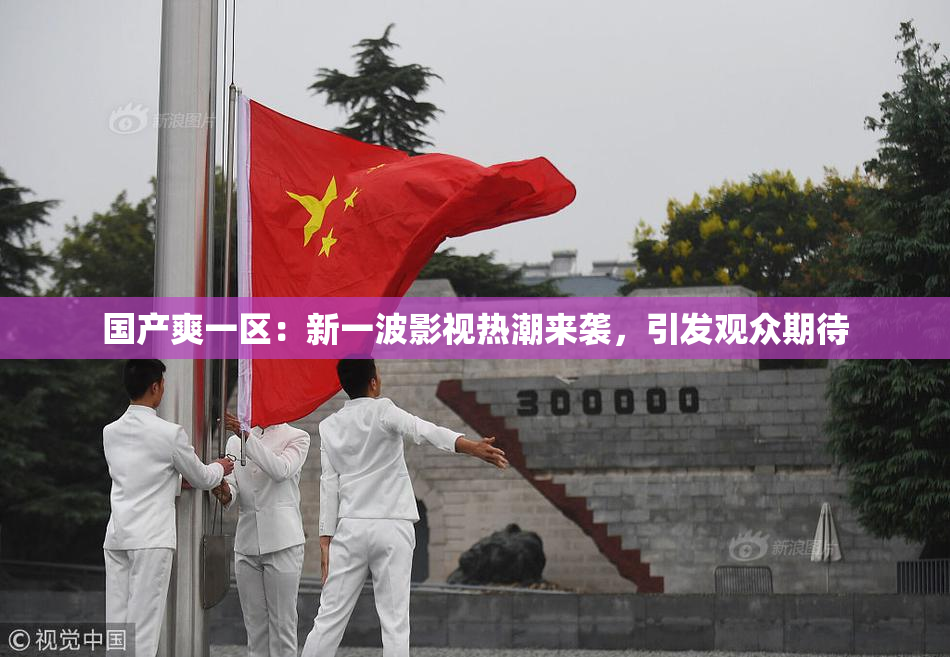 国产爽一区：新一波影视热潮来袭，引发观众期待