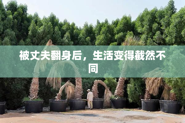 被丈夫翻身后，生活变得截然不同