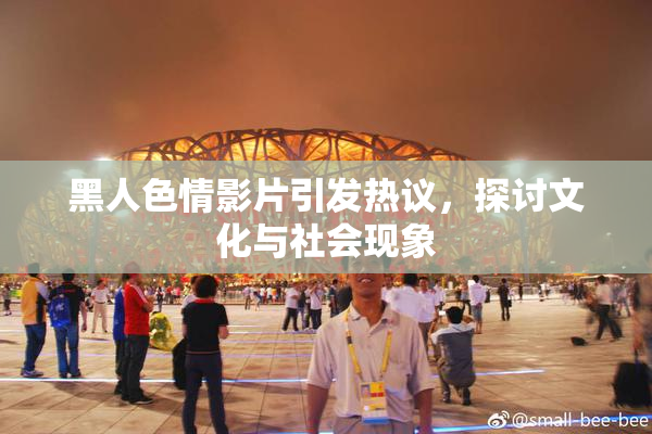 黑人色情影片引发热议，探讨文化与社会现象