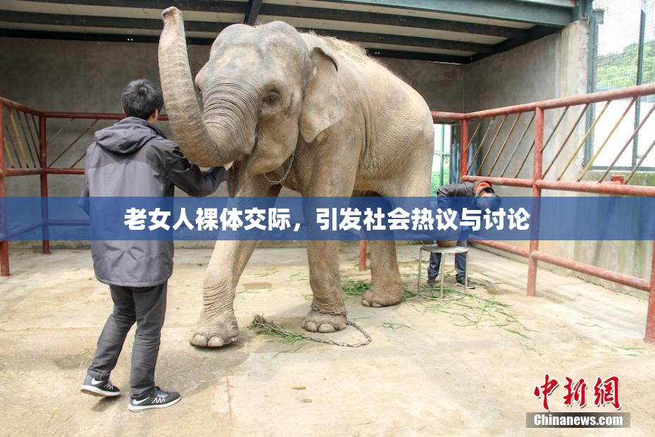 老女人裸体交际，引发社会热议与讨论