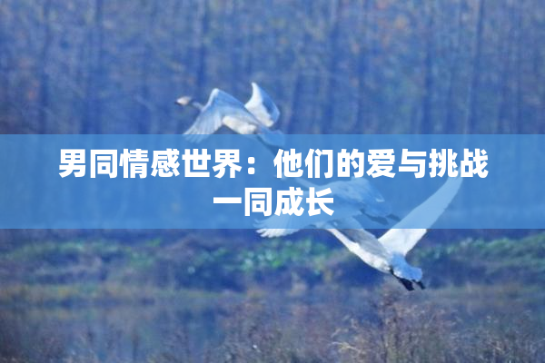 男同情感世界：他们的爱与挑战一同成长