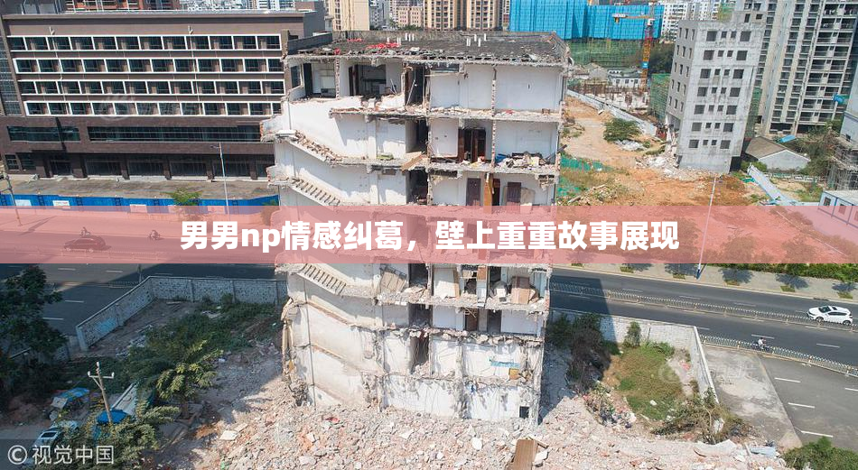 男男np情感纠葛，壁上重重故事展现